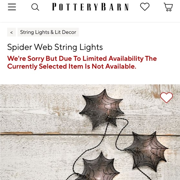 Pottery Barn Spooky and Illuminating Light Up Metal Spider Web String Lights🕸🕷 - Picture 16 of 16